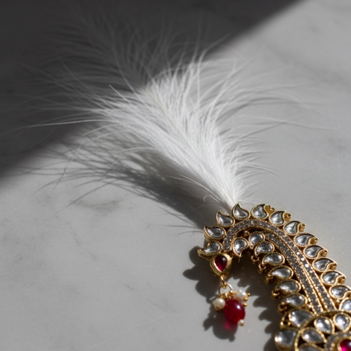 Neutral Luxury Sarpech Display